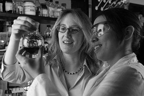 Inside a laboratory stocked with bottles on shelves, two women researchers wearing white lab coats hold up a beaker, looking at the dark liquid it contains